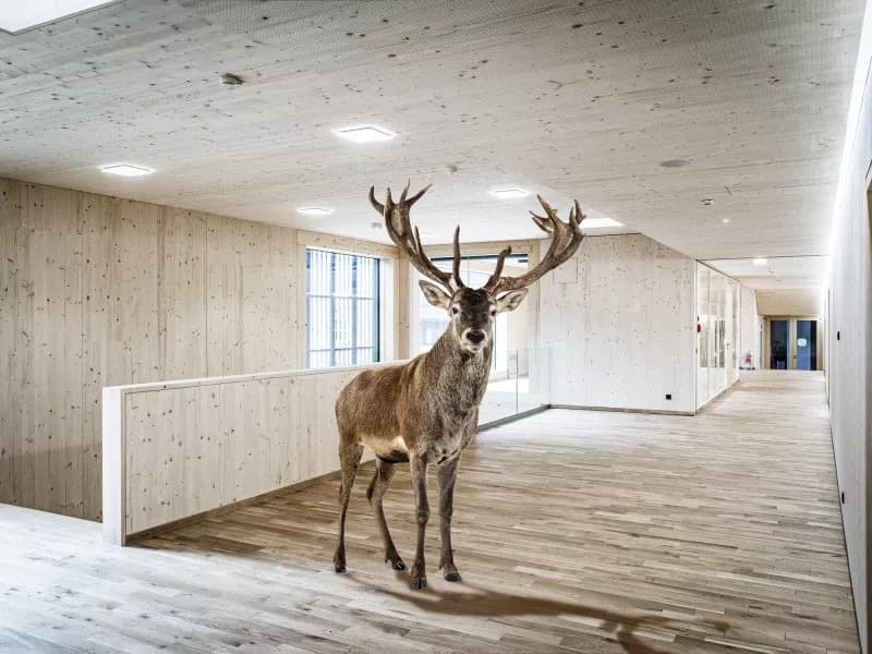 Deisl Parkettmanufaktur - edle Massivholz-Parkettböden